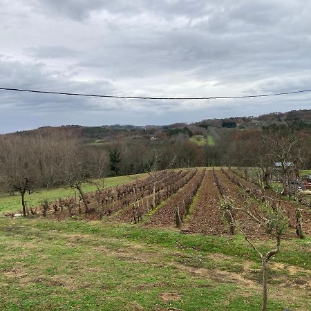 Le Palmier Villa Castelnaud La Chapelle Bagian luar foto