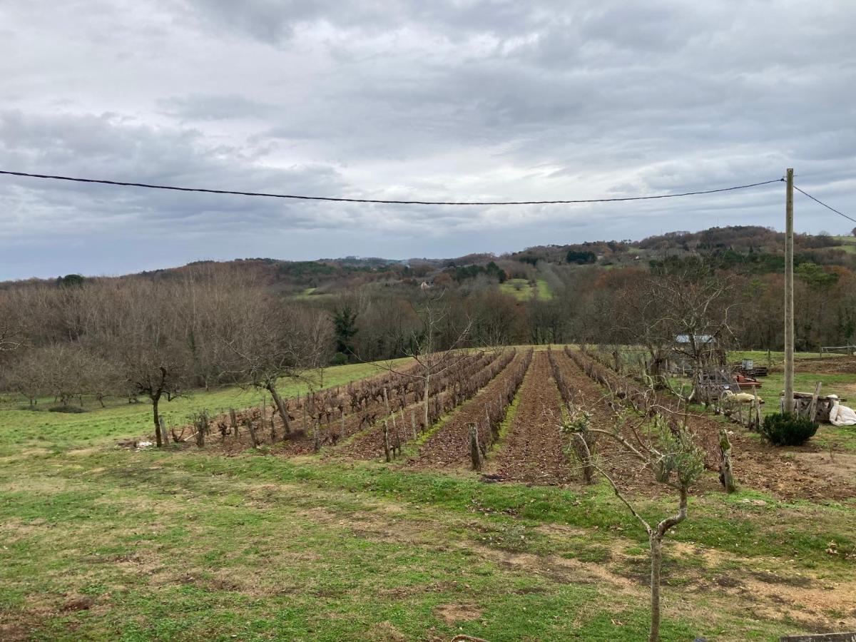 Le Palmier Villa Castelnaud La Chapelle Bagian luar foto